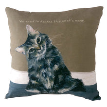Load image into Gallery viewer, Tabby Cat Cushion